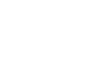 The Wellness Initiative Co